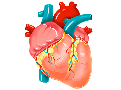 Heart Valve Disease